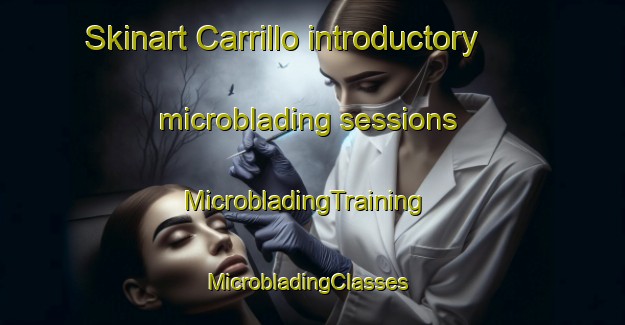 Skinart Carrillo introductory microblading sessions | MicrobladingTraining | MicrobladingClasses | SkinartTraining-Mexico