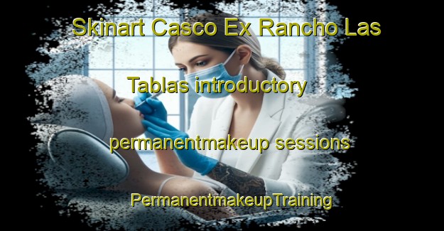 Skinart Casco Ex Rancho Las Tablas introductory permanentmakeup sessions | #PermanentmakeupTraining #PermanentmakeupClasses #SkinartTraining-Mexico