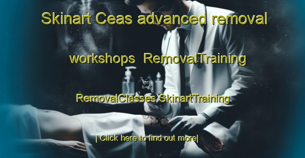 Skinart Ceas advanced removal workshops | #RemovalTraining #RemovalClasses #SkinartTraining-Mexico