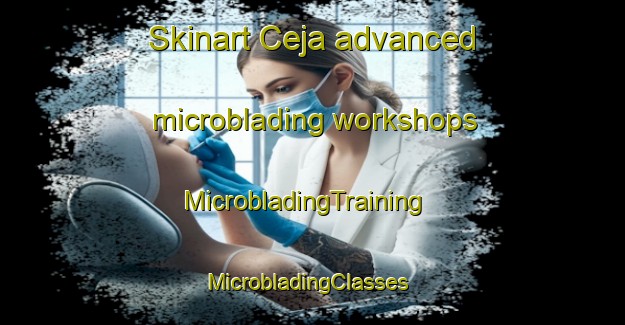 Skinart Ceja advanced microblading workshops | MicrobladingTraining | MicrobladingClasses | SkinartTraining-Mexico