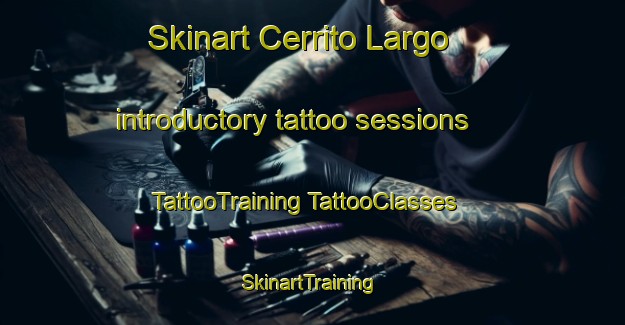 Skinart Cerrito Largo introductory tattoo sessions | #TattooTraining #TattooClasses #SkinartTraining-Mexico