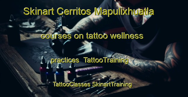 Skinart Cerritos Mapulixhuatla courses on tattoo wellness practices | #TattooTraining #TattooClasses #SkinartTraining-Mexico