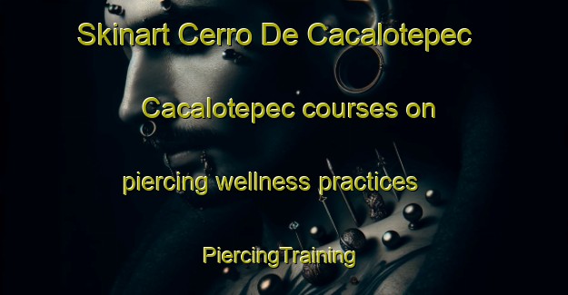 Skinart Cerro De Cacalotepec  Cacalotepec courses on piercing wellness practices | #PiercingTraining #PiercingClasses #SkinartTraining-Mexico