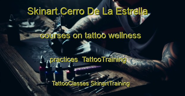 Skinart Cerro De La Estrella courses on tattoo wellness practices | #TattooTraining #TattooClasses #SkinartTraining-Mexico