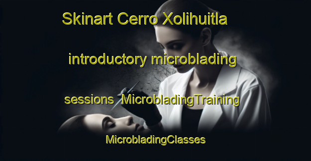 Skinart Cerro Xolihuitla introductory microblading sessions | #MicrobladingTraining #MicrobladingClasses #SkinartTraining-Mexico