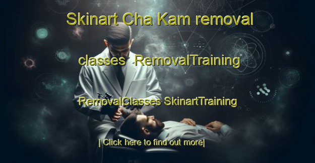 Skinart Cha Kam removal classes | #RemovalTraining #RemovalClasses #SkinartTraining-Mexico