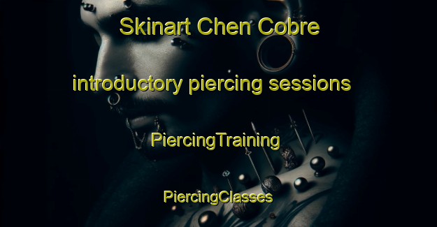 Skinart Chen Cobre introductory piercing sessions | #PiercingTraining #PiercingClasses #SkinartTraining-Mexico