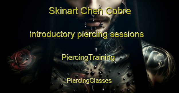 Skinart Chen Cobre introductory piercing sessions | #PiercingTraining #PiercingClasses #SkinartTraining-Mexico