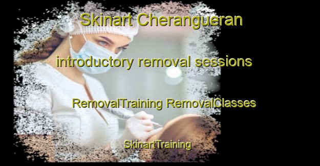 Skinart Cherangueran introductory removal sessions | #RemovalTraining #RemovalClasses #SkinartTraining-Mexico