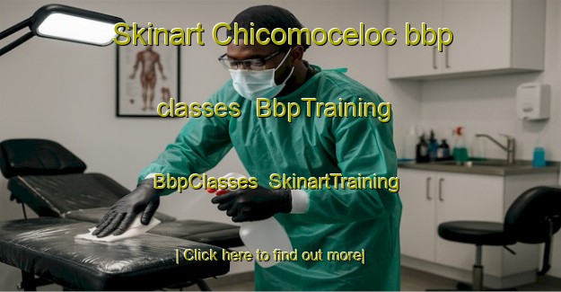 Skinart Chicomoceloc bbp classes | BbpTraining | BbpClasses | SkinartTraining-Mexico
