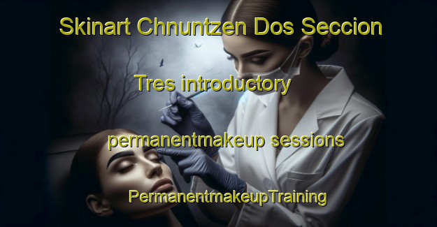 Skinart Chnuntzen Dos Seccion Tres introductory permanentmakeup sessions | #PermanentmakeupTraining #PermanentmakeupClasses #SkinartTraining-Mexico