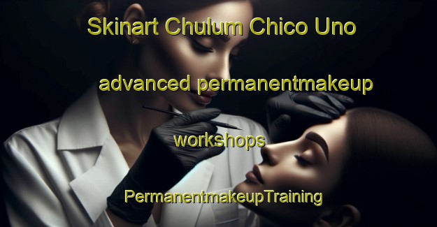 Skinart Chulum Chico Uno advanced permanentmakeup workshops | PermanentmakeupTraining | PermanentmakeupClasses | SkinartTraining-Mexico