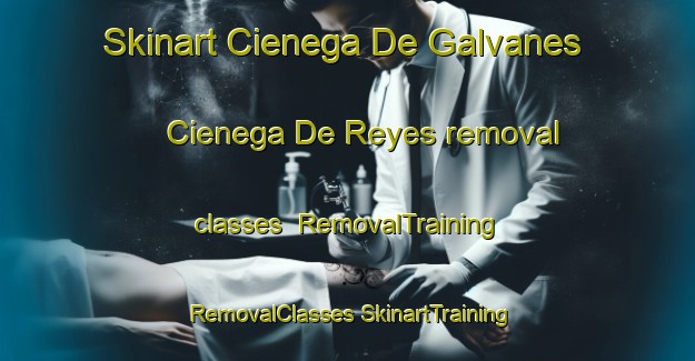 Skinart Cienega De Galvanes  Cienega De Reyes removal classes | #RemovalTraining #RemovalClasses #SkinartTraining-Mexico