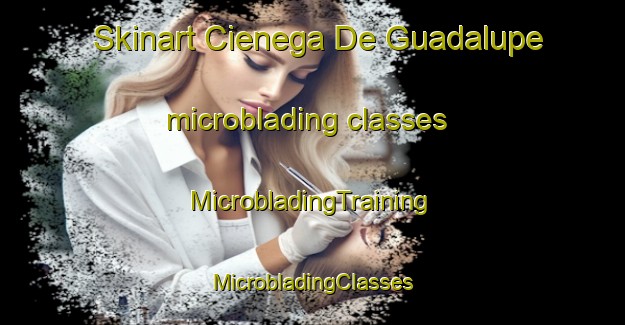 Skinart Cienega De Guadalupe microblading classes | #MicrobladingTraining #MicrobladingClasses #SkinartTraining-Mexico