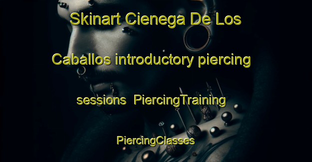 Skinart Cienega De Los Caballos introductory piercing sessions | #PiercingTraining #PiercingClasses #SkinartTraining-Mexico