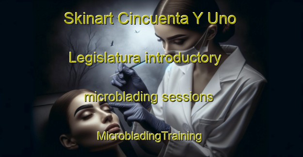 Skinart Cincuenta Y Uno Legislatura introductory microblading sessions | #MicrobladingTraining #MicrobladingClasses #SkinartTraining-Mexico