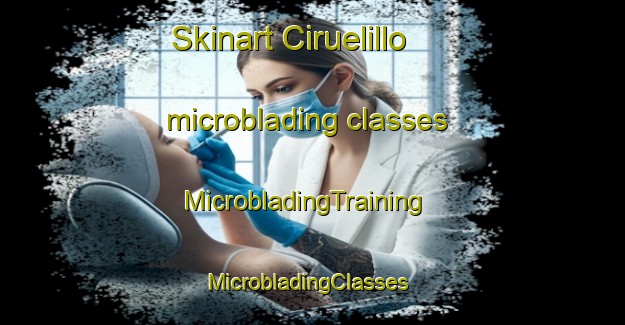 Skinart Ciruelillo microblading classes | MicrobladingTraining | MicrobladingClasses | SkinartTraining-Mexico