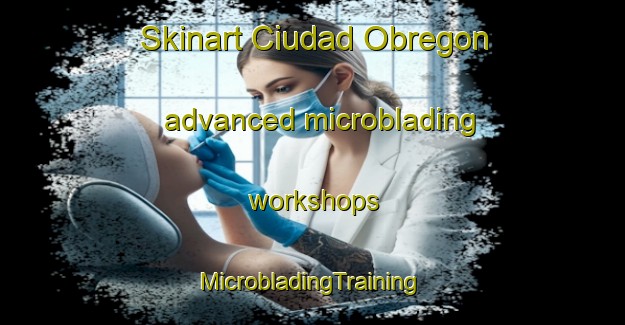 Skinart Ciudad Obregon advanced microblading workshops | #MicrobladingTraining #MicrobladingClasses #SkinartTraining-Mexico