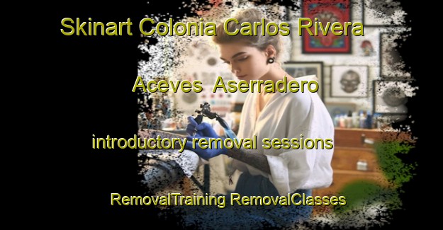 Skinart Colonia Carlos Rivera Aceves  Aserradero introductory removal sessions | #RemovalTraining #RemovalClasses #SkinartTraining-Mexico