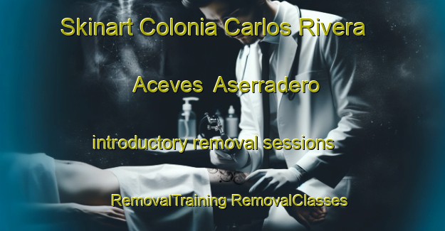 Skinart Colonia Carlos Rivera Aceves  Aserradero introductory removal sessions | #RemovalTraining #RemovalClasses #SkinartTraining-Mexico