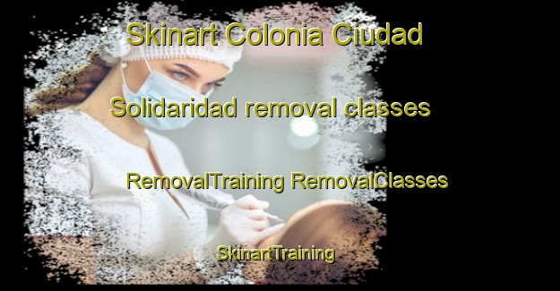 Skinart Colonia Ciudad Solidaridad removal classes | #RemovalTraining #RemovalClasses #SkinartTraining-Mexico