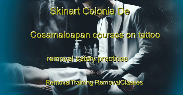 Skinart Colonia De Cosamaloapan courses on tattoo removal safety practices | #RemovalTraining #RemovalClasses #SkinartTraining-Mexico