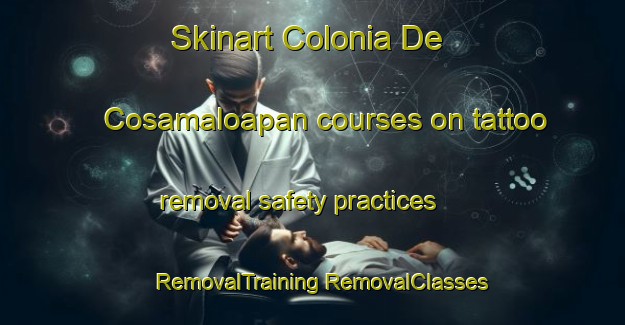 Skinart Colonia De Cosamaloapan courses on tattoo removal safety practices | #RemovalTraining #RemovalClasses #SkinartTraining-Mexico