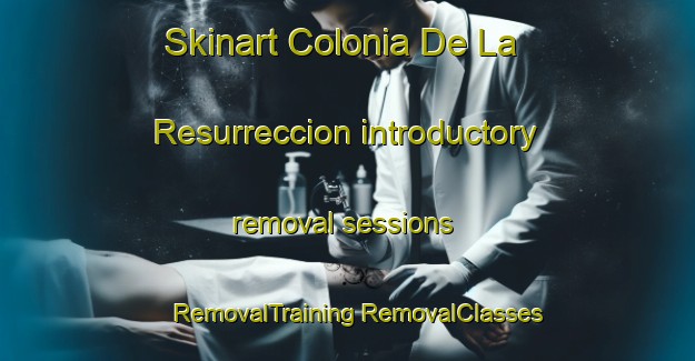 Skinart Colonia De La Resurreccion introductory removal sessions | #RemovalTraining #RemovalClasses #SkinartTraining-Mexico