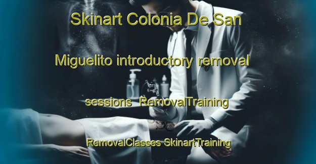 Skinart Colonia De San Miguelito introductory removal sessions | #RemovalTraining #RemovalClasses #SkinartTraining-Mexico