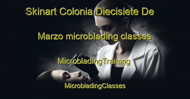 Skinart Colonia Diecisiete De Marzo microblading classes | #MicrobladingTraining #MicrobladingClasses #SkinartTraining-Mexico