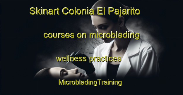 Skinart Colonia El Pajarito courses on microblading wellness practices | #MicrobladingTraining #MicrobladingClasses #SkinartTraining-Mexico