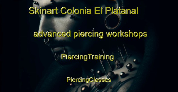 Skinart Colonia El Platanal advanced piercing workshops | #PiercingTraining #PiercingClasses #SkinartTraining-Mexico