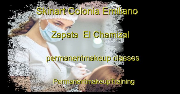 Skinart Colonia Emiliano Zapata  El Chamizal permanentmakeup classes | #PermanentmakeupTraining #PermanentmakeupClasses #SkinartTraining-Mexico