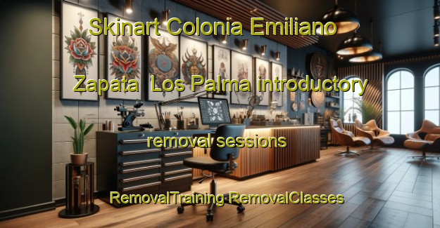 Skinart Colonia Emiliano Zapata  Los Palma introductory removal sessions | #RemovalTraining #RemovalClasses #SkinartTraining-Mexico