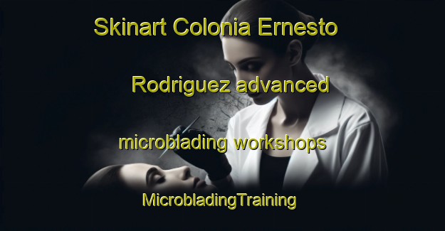 Skinart Colonia Ernesto Rodriguez advanced microblading workshops | #MicrobladingTraining #MicrobladingClasses #SkinartTraining-Mexico