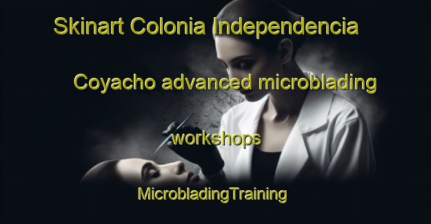 Skinart Colonia Independencia  Coyacho advanced microblading workshops | #MicrobladingTraining #MicrobladingClasses #SkinartTraining-Mexico