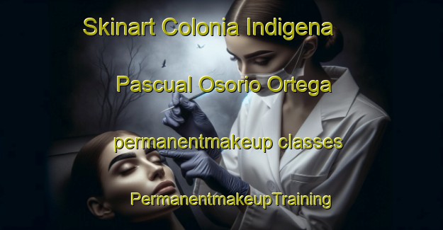 Skinart Colonia Indigena  Pascual Osorio Ortega permanentmakeup classes | #PermanentmakeupTraining #PermanentmakeupClasses #SkinartTraining-Mexico