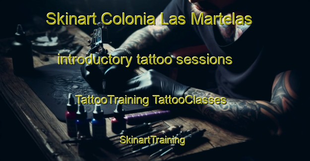 Skinart Colonia Las Martelas introductory tattoo sessions | #TattooTraining #TattooClasses #SkinartTraining-Mexico