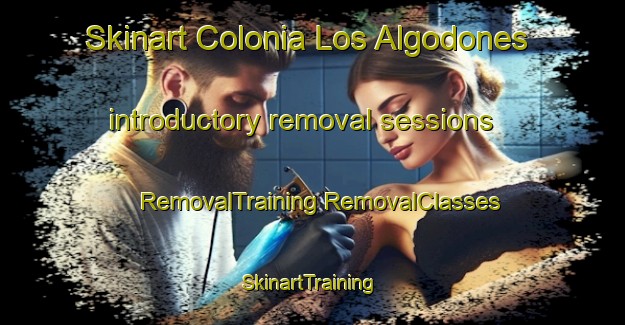 Skinart Colonia Los Algodones introductory removal sessions | #RemovalTraining #RemovalClasses #SkinartTraining-Mexico