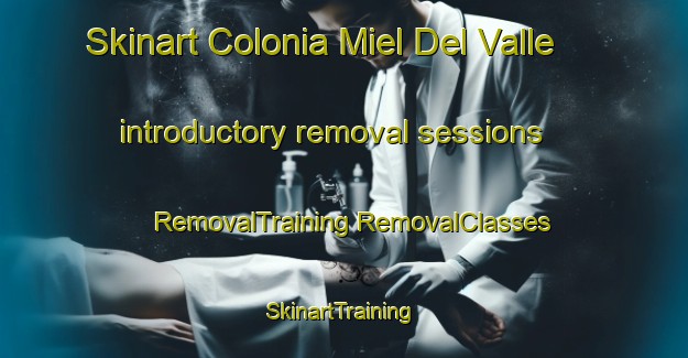 Skinart Colonia Miel Del Valle introductory removal sessions | #RemovalTraining #RemovalClasses #SkinartTraining-Mexico