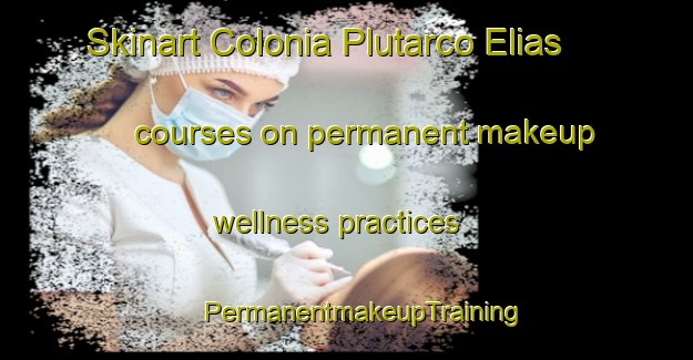 Skinart Colonia Plutarco Elias courses on permanent makeup wellness practices | #PermanentmakeupTraining #PermanentmakeupClasses #SkinartTraining-Mexico