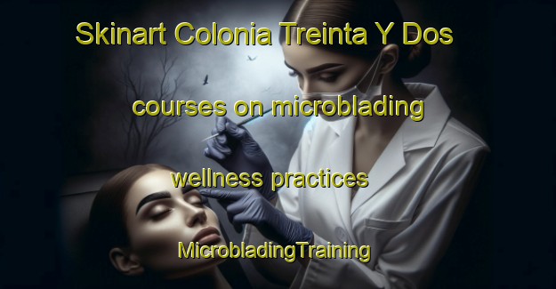 Skinart Colonia Treinta Y Dos courses on microblading wellness practices | #MicrobladingTraining #MicrobladingClasses #SkinartTraining-Mexico