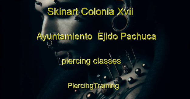 Skinart Colonia Xvii Ayuntamiento  Ejido Pachuca piercing classes | #PiercingTraining #PiercingClasses #SkinartTraining-Mexico