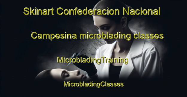 Skinart Confederacion Nacional Campesina microblading classes | #MicrobladingTraining #MicrobladingClasses #SkinartTraining-Mexico