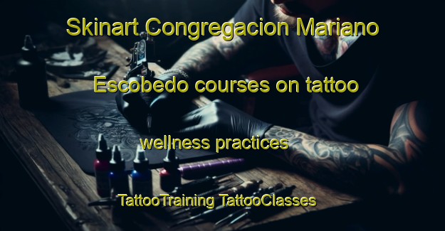 Skinart Congregacion Mariano Escobedo courses on tattoo wellness practices | #TattooTraining #TattooClasses #SkinartTraining-Mexico