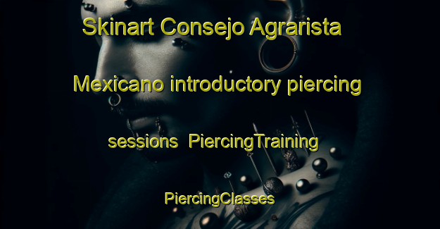 Skinart Consejo Agrarista Mexicano introductory piercing sessions | #PiercingTraining #PiercingClasses #SkinartTraining-Mexico