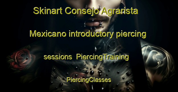 Skinart Consejo Agrarista Mexicano introductory piercing sessions | #PiercingTraining #PiercingClasses #SkinartTraining-Mexico