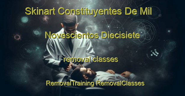 Skinart Constituyentes De Mil Novescientos Diecisiete removal classes | #RemovalTraining #RemovalClasses #SkinartTraining-Mexico