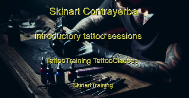 Skinart Contrayerba introductory tattoo sessions | #TattooTraining #TattooClasses #SkinartTraining-Mexico