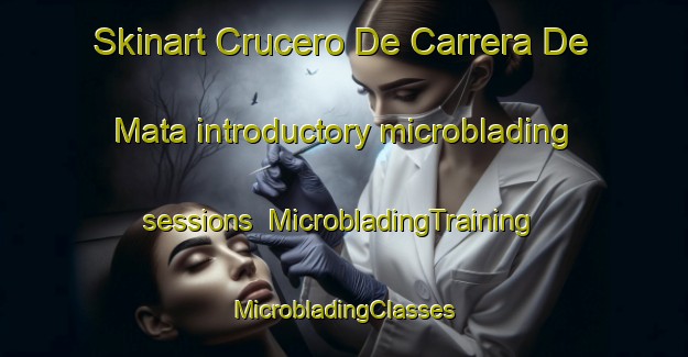 Skinart Crucero De Carrera De Mata introductory microblading sessions | #MicrobladingTraining #MicrobladingClasses #SkinartTraining-Mexico